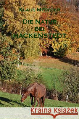 Die Natur Bei Hackenstedt Klaus Metzger Klaus Metzger 9781500703141 Createspace - książka