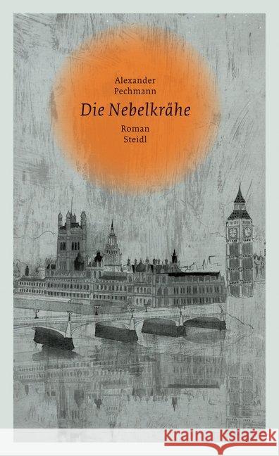 Die Nebelkrähe : Roman Pechmann, Alexander 9783958295834 Steidl - książka