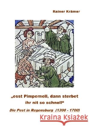 Die Pest in Regensburg (1300 - 1700) : 