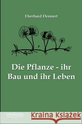 Die Pflanze - ihr Bau und ihr Leben Dennert, Eberhard 9783845744957 UNIKUM - książka