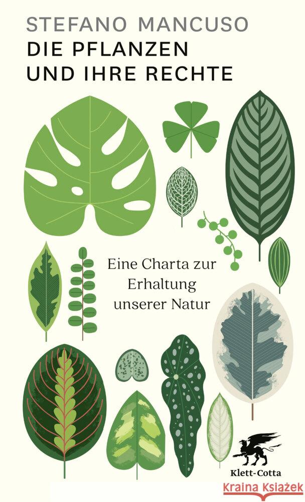 Die Pflanzen und ihre Rechte Mancuso, Stefano 9783608983227 Klett-Cotta - książka