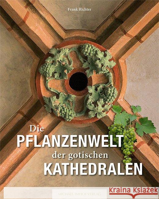 Die Pflanzenwelt der gotischen Kathedralen Richter, Frank 9783731908531 Imhof, Petersberg - książka