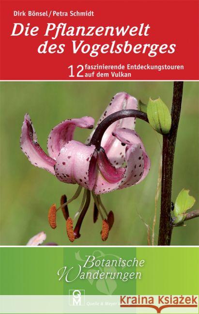 Die Pflanzenwelt des Vogelsberges : 12 faszinierende Entdeckungstouren auf dem Vulkan Bönsel, Dirk; Schmidt, Petra 9783494016016 Quelle & Meyer - książka