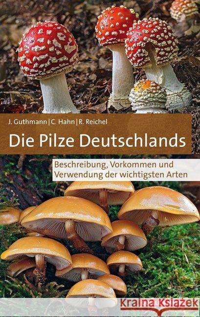 Die Pilze Deutschlands Guthmann, Jürgen, Hahn, Christoph, Reichel, Rainer 9783494017884 Quelle & Meyer - książka