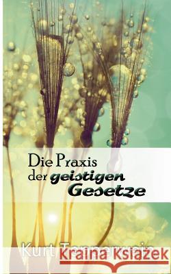 Die Praxis der geistigen Gesetze Kurt Tepperwein 9783741293665 Books on Demand - książka