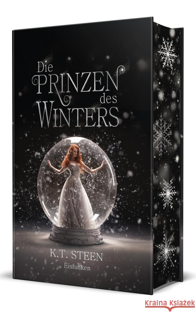 Die Prinzen des Winters Steen, K. T. 9783689370206 Edition Grace O`Malley - książka