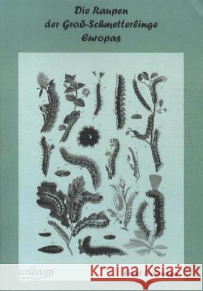 Die Raupen der Groß-Schmetterlinge Europas Hofmann, Ernst 9783845720364 UNIKUM - książka
