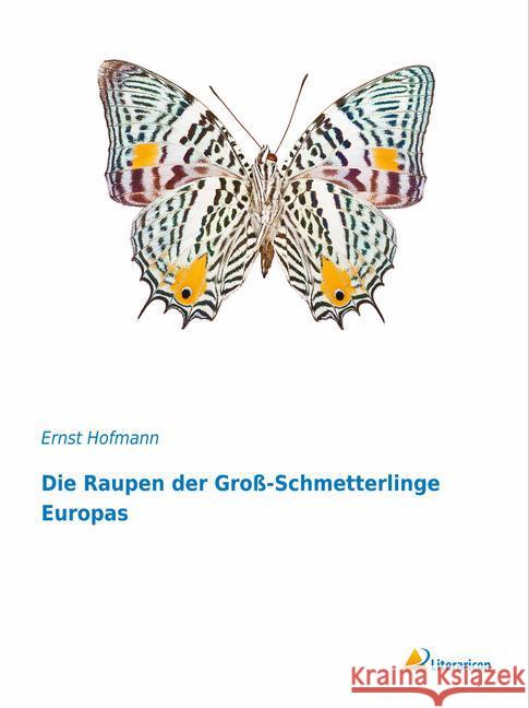 Die Raupen der Groß-Schmetterlinge Europas Hofmann, Ernst 9783959130141 Literaricon - książka