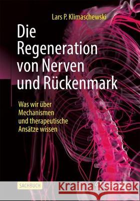 Die Regeneration Von Nerven Und Rückenmark: Was Wir Über Mechanismen Und Therapeutische Ansätze Wissen Klimaschewski, Lars P. 9783662663295 Springer - książka