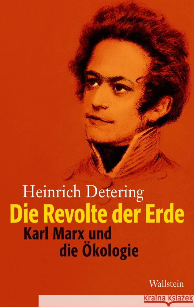 Die Revolte der Erde Detering, Heinrich 9783835358072 Wallstein - książka
