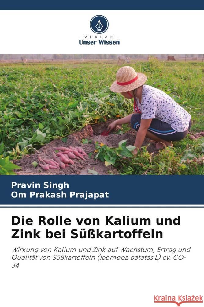 Die Rolle von Kalium und Zink bei S??kartoffeln Pravin Singh Om Prakash Prajapat 9786207350285 Verlag Unser Wissen - książka