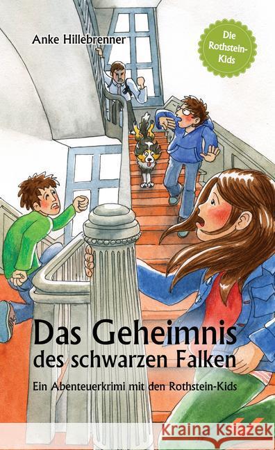 Die Rothstein-Kids - Das Geheimnis des schwarzen Falken : Ein Abenteuerkrimi mit den Rothstein-Kids Hillebrenner, Anke 9783863531324 Christliche Verlagsges. Dillenburg - książka