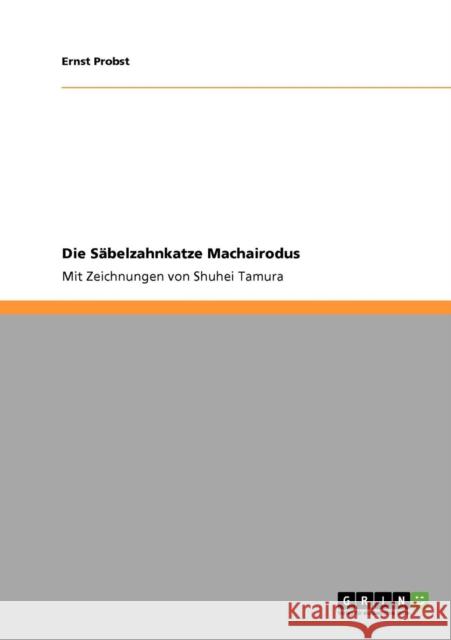 Die Säbelzahnkatze Machairodus: Mit Zeichnungen von Shuhei Tamura Probst, Ernst 9783640877263 Grin Verlag - książka