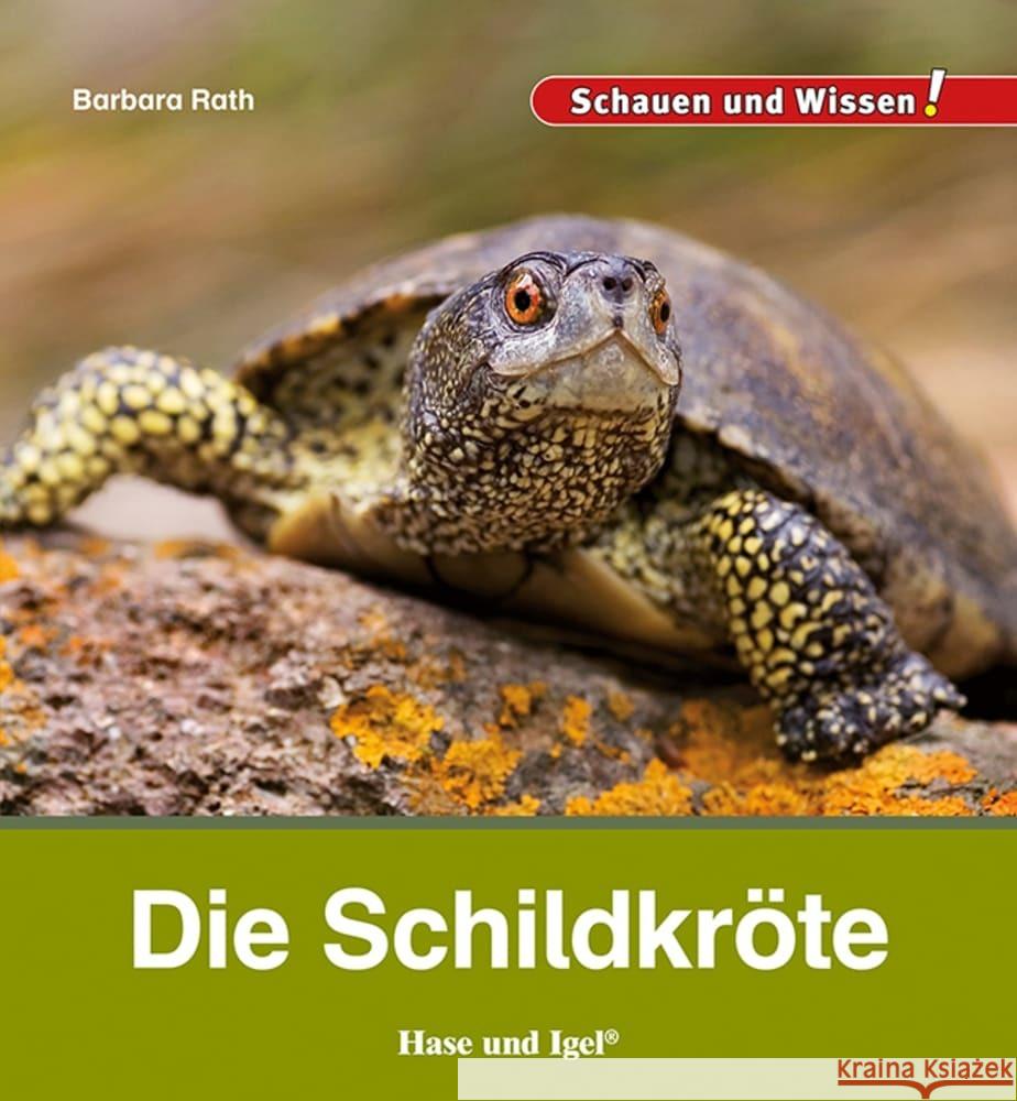 Die Schildkröte Rath, Barbara 9783863164652 Hase und Igel - książka
