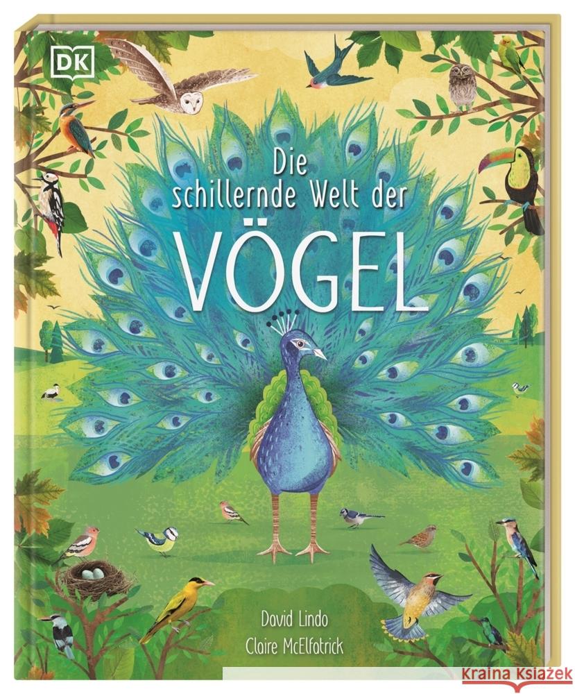 Die schillernde Welt der Vögel Lindo, David 9783831046447 Dorling Kindersley Verlag - książka