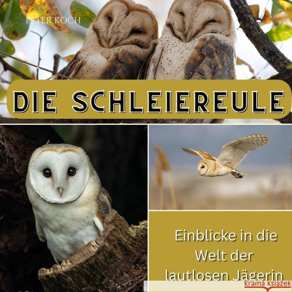 Die Schleiereule Koch, Peter 9783750565326 27amigos - książka