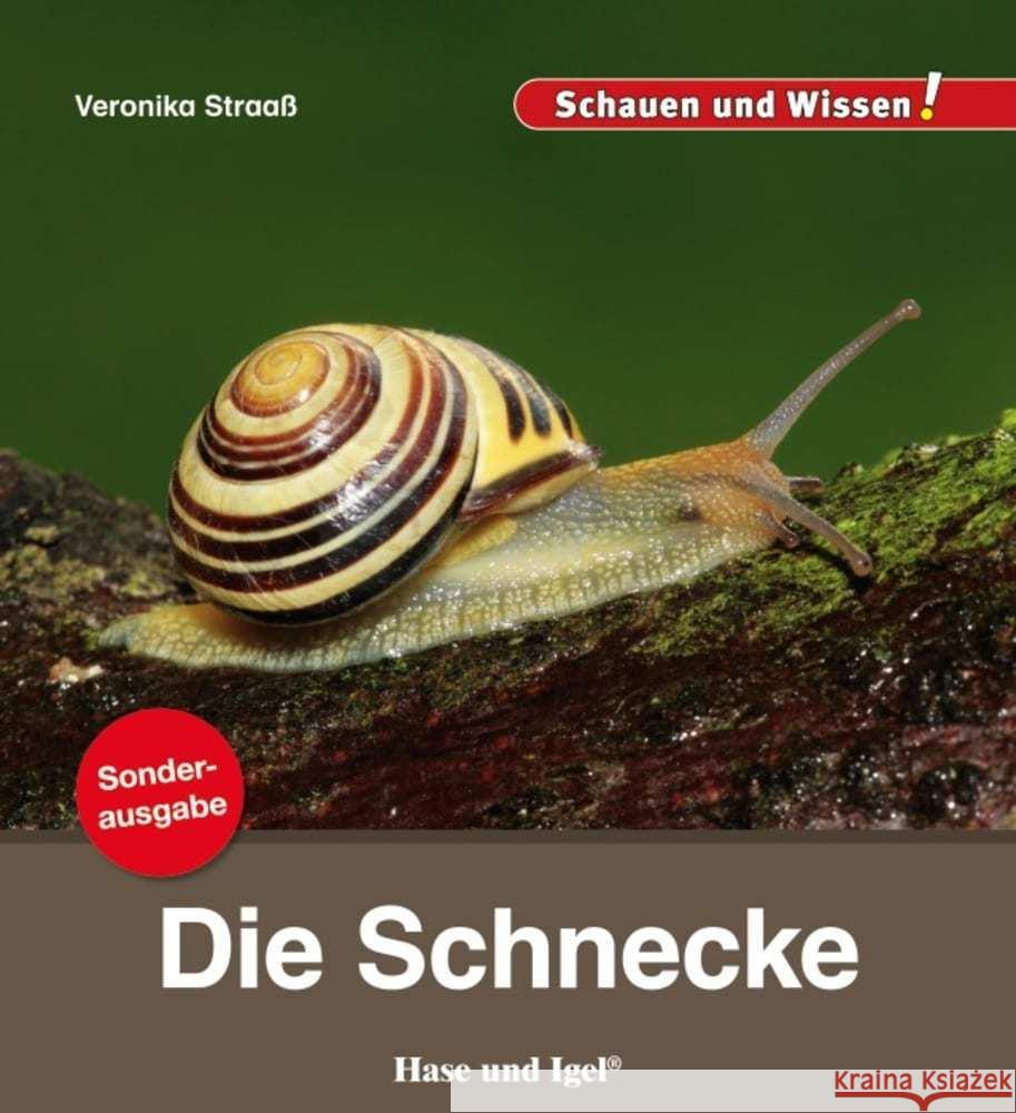 Die Schnecke / Sonderausgabe Straaß, Veronika 9783863163501 Hase und Igel - książka