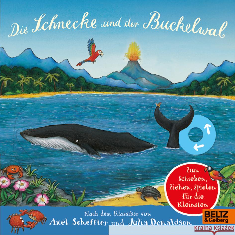 Die Schnecke und der Buckelwal Scheffler, Axel, Donaldson, Julia 9783407757142 Beltz - książka