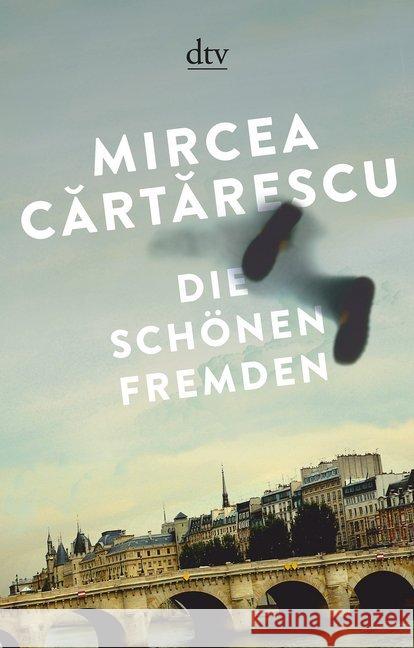Die schönen Fremden : Erzählungen Cartarescu, Mircea 9783423146609 DTV - książka