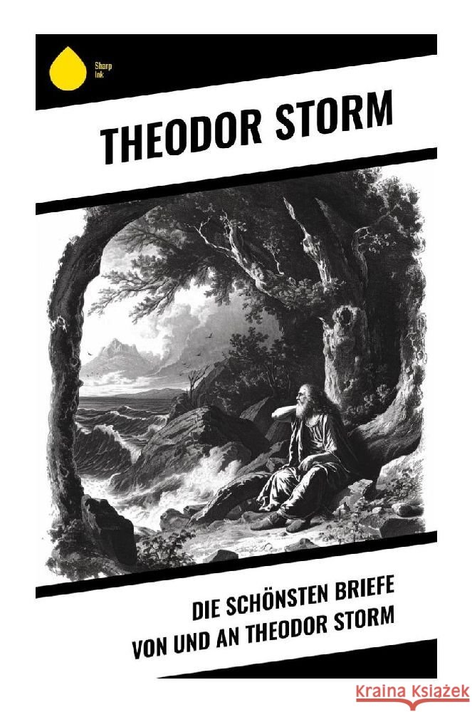 Die schönsten Briefe von und an Theodor Storm Storm, Theodor 9788028345112 Sharp Ink - książka