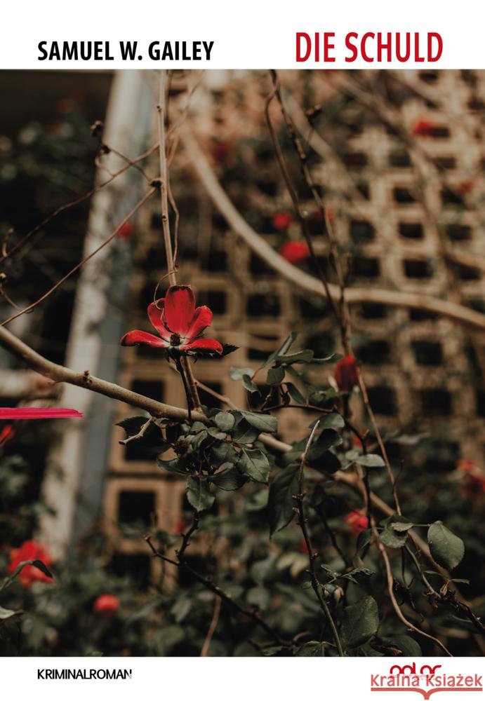 Die Schuld Gailey, Samuel W. 9783948392963 Polar Verlag - książka