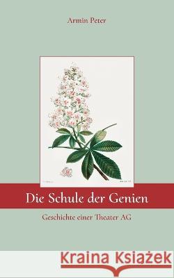 Die Schule der Genien: Geschichte einer Theater AG Armin Peter 9783750411593 Books on Demand - książka