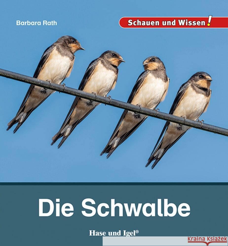 Die Schwalbe Rath, Barbara 9783863164294 Hase und Igel - książka