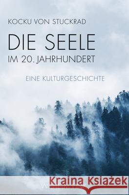 Die Seele im 20. Jahrhundert : Eine Kulturgeschichte Stuckrad, Kocku von 9783770564378 Fink (Wilhelm) - książka