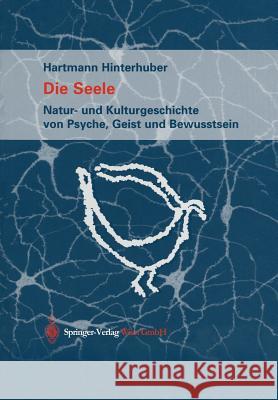 Die Seele: Natur- Und Kulturgeschichte Von Psyche, Geist Und Bewusstsein Hinterhuber, Hartmann 9783709137031 Springer - książka