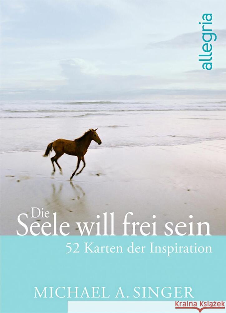 Die Seele will frei sein Singer, Michael A. 4251385304979 Allegria - książka