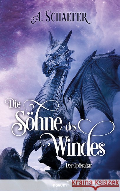 Die Söhne des Windes Schaefer, A. 9783991462231 Novum - książka