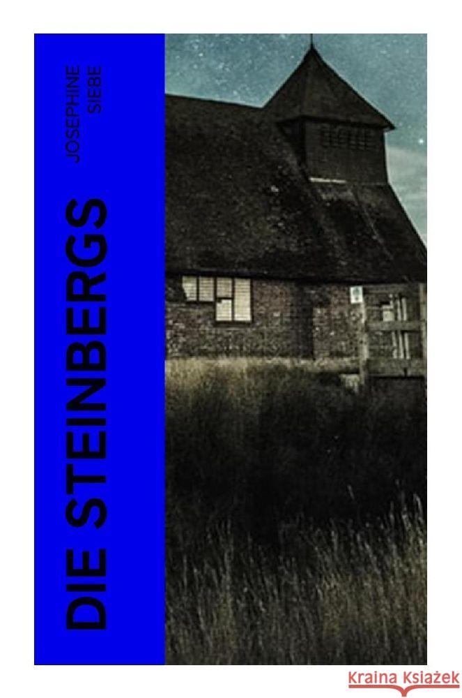 Die Steinbergs Siebe, Josephine 9788027368778 e-artnow - książka