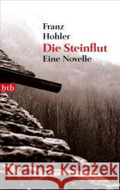 Die Steinflut : Eine Novelle Hohler, Franz 9783442742691 btb - książka