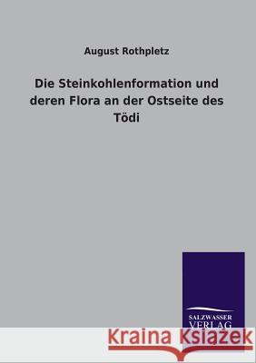 Die Steinkohlenformation Und Deren Flora an Der Ostseite Des Todi August Rothpletz 9783846045039 Salzwasser-Verlag Gmbh - książka