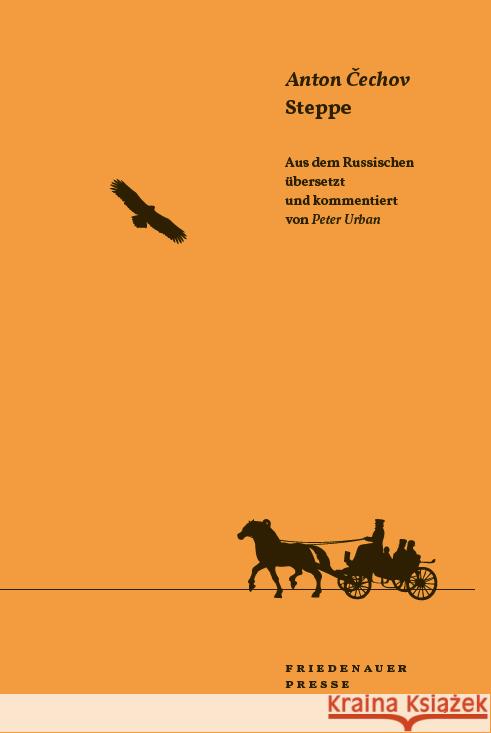 Die Steppe Tschechow (Cechov), Anton 9783751806350 Matthes & Seitz Berlin - książka