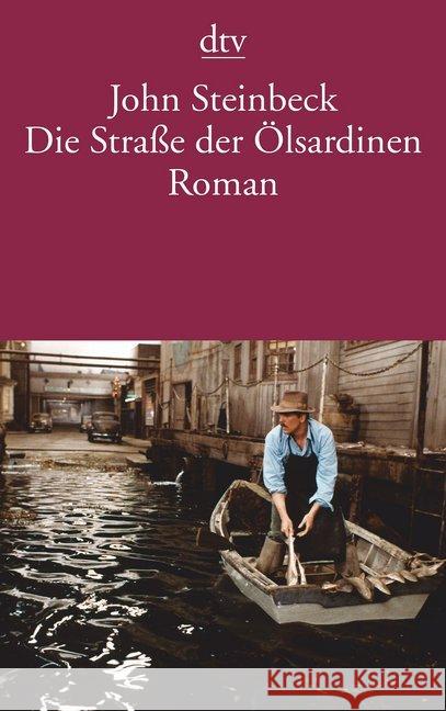 Die Straße der Ölsardinen : Roman Steinbeck, John Frank, Rudolf  9783423106252 DTV - książka