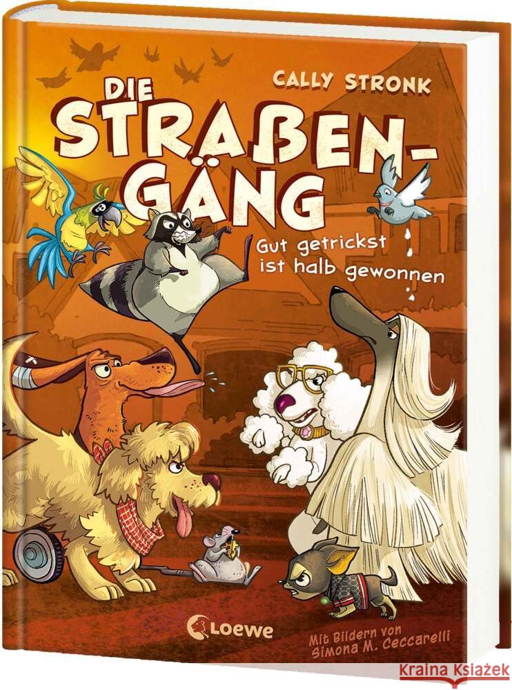 Die Straßengäng (Band 2) - Gut getrickst ist halb gewonnen Stronk, Cally 9783743215122 Loewe - książka