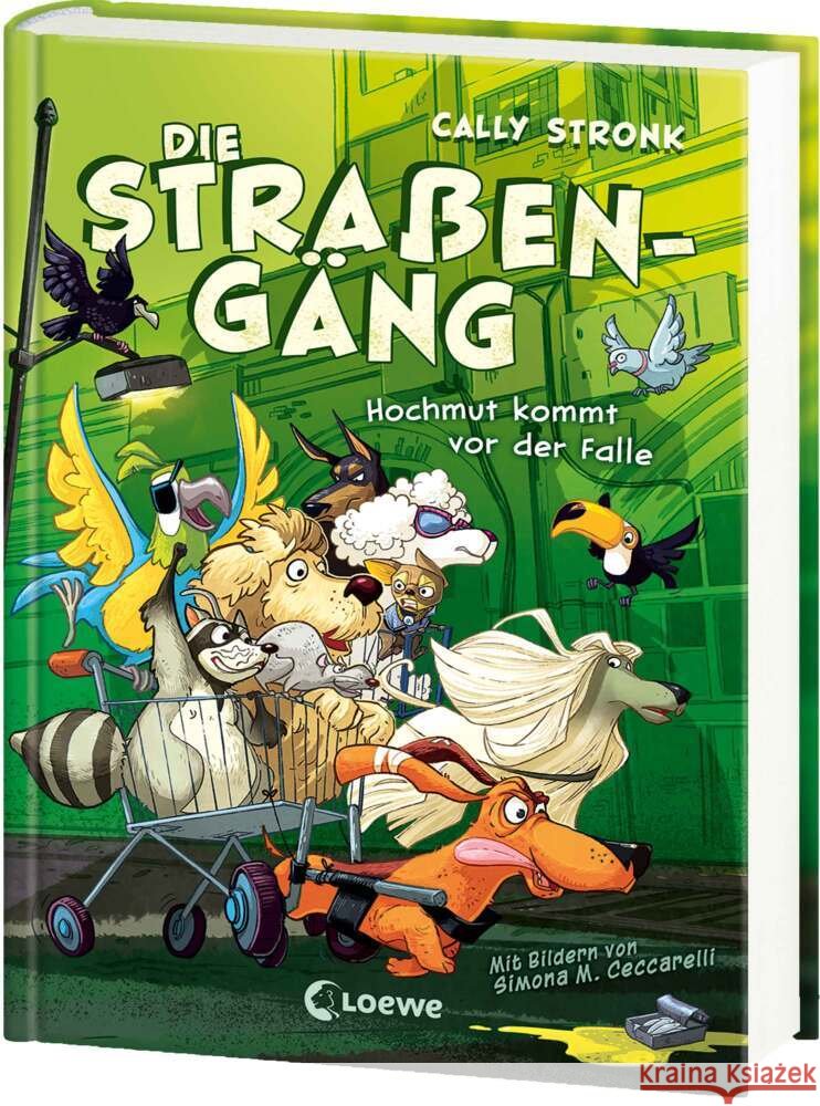 Die Straßengäng (Band 3) - Hochmut kommt vor der Falle Stronk, Cally 9783743215139 Loewe Verlag - książka