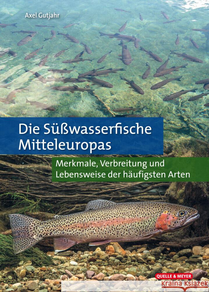 Die Süßwasserfische Mitteleuropas Gutjahr, Axel 9783494018522 Quelle & Meyer - książka