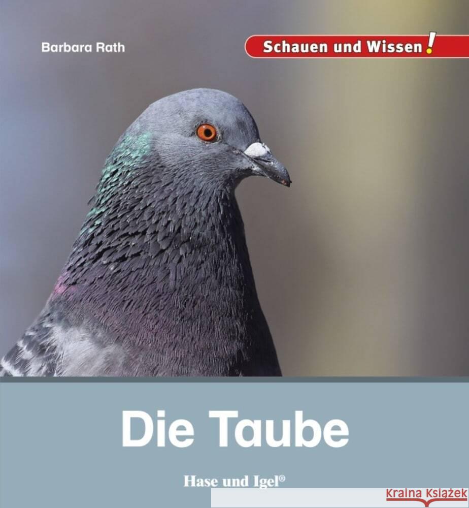 Die Taube Rath, Barbara 9783863163662 Hase und Igel - książka