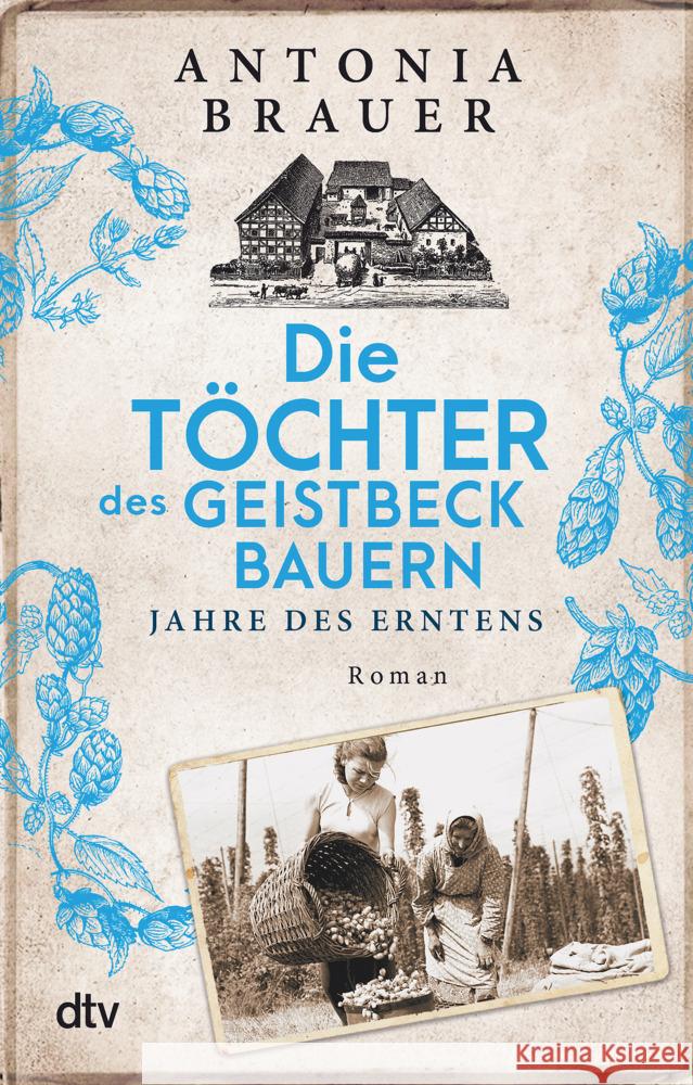 Die Töchter des Geistbeckbauern Brauer, Antonia 9783423220187 DTV - książka