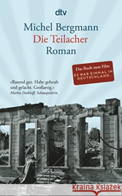 Die Teilacher : Roman Bergmann, Michel 9783423140300 DTV - książka