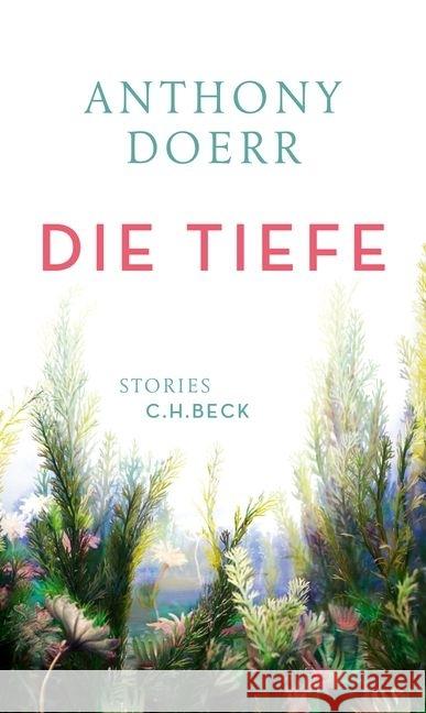 Die Tiefe : Stories Doerr, Anthony 9783406692512 Beck - książka