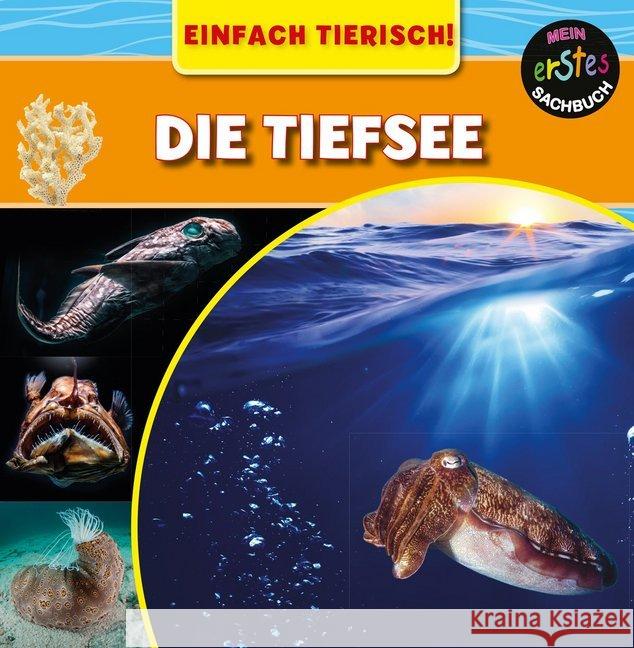 Die Tiefsee : Mit digitalem Zusatzangebot Wilkins, Mary-Jane 9789463410946 Ars Scribendi - książka