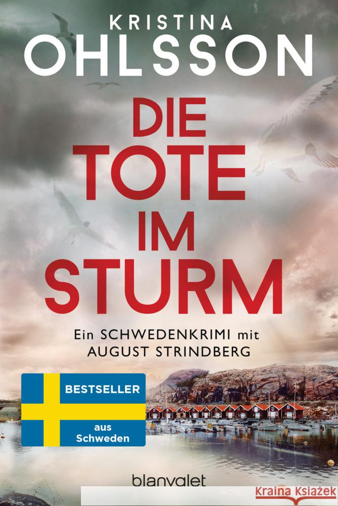 Die Tote im Sturm Ohlsson, Kristina 9783734113383 Blanvalet - książka