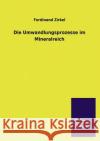 Die Umwandlungsprozesse im Mineralreich Zirkel, Ferdinand 9783846039755 Salzwasser-Verlag Gmbh