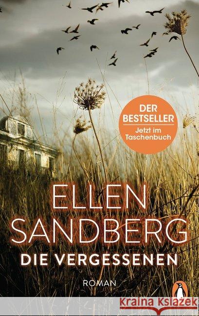 Die Vergessenen : Roman Sandberg, Ellen 9783328103882 Penguin Verlag München - książka