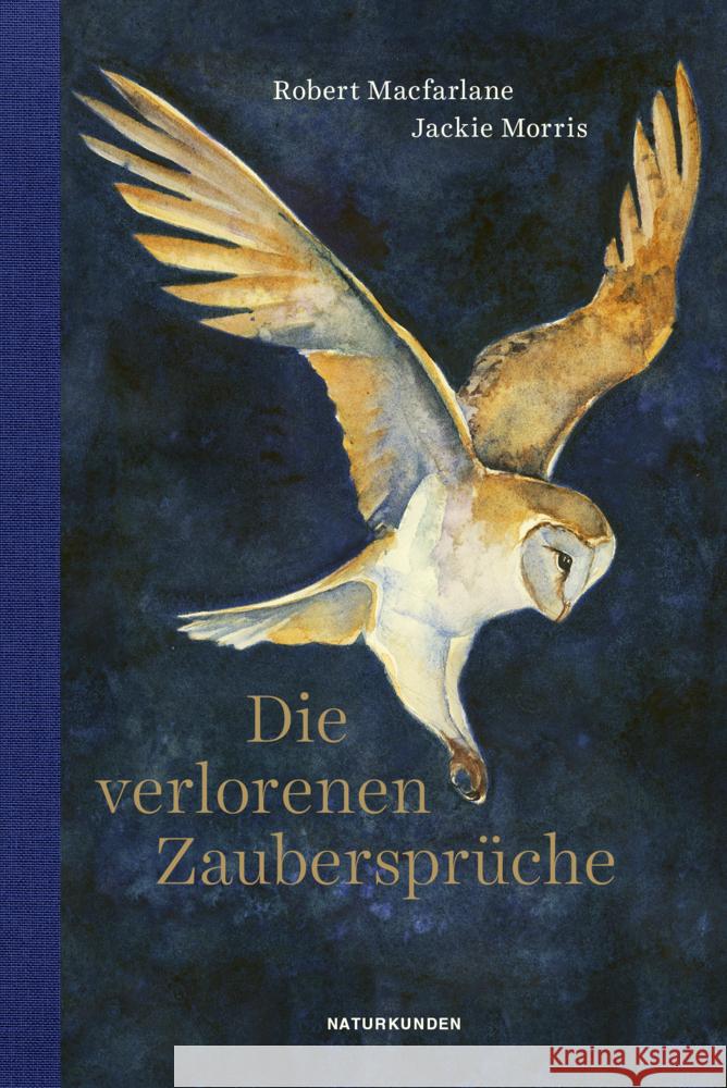 Die verlorenen Zaubersprüche Macfarlane, Robert 9783751802086 Matthes & Seitz Berlin - książka