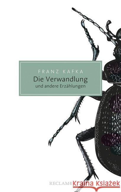 Die Verwandlung und andere Erzählungen Kafka, Franz 9783150205969 Reclam, Ditzingen - książka