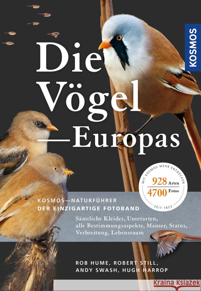 Die Vögel Europas Hume, Rob, Still, Robert, Swash, Andy 9783440176061 Kosmos (Franckh-Kosmos) - książka
